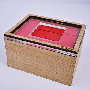 Casse-tête en Bois boite à cube